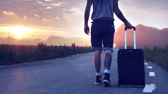Safar trolley bags are durable and made of good quality material. (Pexels)