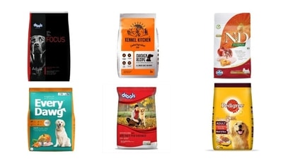 Buying guide for 10 best dry foods for dogs