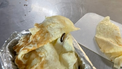 Cockroach found in meal served to a passenger on Rajdhani Express. (Twitter) Cockroach found in meal served to a passenger on Rajdhani Express. (Twitter)