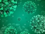 Omicron variant is known to spread very fast and has a shorter incubation period. It has been reported that it will infect 60% of people in China in the coming three months. (Pixabay) Omicron variant is known to spread very fast and has a shorter incubation period. It has been reported that it will infect 60% of people in China in the coming three months. (Pixabay)
