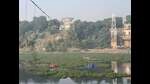 The Morbi bridge collapse left 135 people dead on October 30. (PTI) The Morbi bridge collapse left 135 people dead on October 30. (PTI)