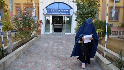 A female university student walks in front of a university gate in Kandahar Province on December 21. Afghanistan's Taliban rulers a day earlier, ordered women nationwide to stop attending private and public universities effective immediately and until further notice. (AFP) A female university student walks in front of a university gate in Kandahar Province on December 21. Afghanistan's Taliban rulers a day earlier, ordered women nationwide to stop attending private and public universities effective immediately and until further notice. (AFP)