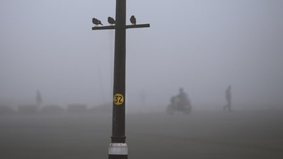 Birds seen perched on an electric pole on a cold smoggy morning in New Delhi, on December 20. “We are seeing a build-up of fog and smog because pollutants are also sticking to the cold, humid air. Though there is no major drop in temperatures, the smog layer is obscuring sunshine,” Mahesh Palawat, vice president, climate change and meteorology at Skymet Weather, told HT. (Manish Swarup / AP) Birds seen perched on an electric pole on a cold smoggy morning in New Delhi, on December 20. “We are seeing a build-up of fog and smog because pollutants are also sticking to the cold, humid air. Though there is no major drop in temperatures, the smog layer is obscuring sunshine,” Mahesh Palawat, vice president, climate change and meteorology at Skymet Weather, told HT. (Manish Swarup / AP)