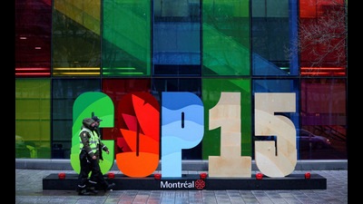 Montreal marks a breakthrough in the struggle to protect the planet’s biodiversity richness. A beginning has been made. (REUTERS) Montreal marks a breakthrough in the struggle to protect the planet’s biodiversity richness. A beginning has been made. (REUTERS)