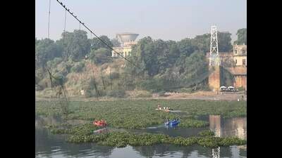The Morbi bridge collapse left 135 people dead on October 30. (PTI) The Morbi bridge collapse left 135 people dead on October 30. (PTI)