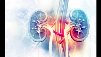 The teenager’s liver, kidneys and corneas were transplanted to three matching recipients at PGIMER. The teenager’s liver, kidneys and corneas were transplanted to three matching recipients at PGIMER.
