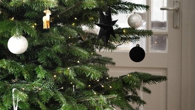 Pickle in the Tree - Germany: In German households, adults hide a pickle somewhere within the branches of the Christmas tree and reward the kid who finds it.&nbsp; (Unsplash)