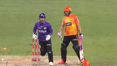 Matthew Wade (L) and Faf du Plessis (Twitter) Matthew Wade (L) and Faf du Plessis (Twitter)