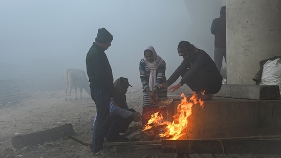 People huddle around a bonfire on a cold winter morning near Akshardham Temple in New Delhi, December 19. According to IMD, no significant change is expected in minimum temperatures over northwest India in the next two days, though it is likely to fall by 2 degrees Celsius thereafter, HT reported.(Raj K Raj / HT Photo)