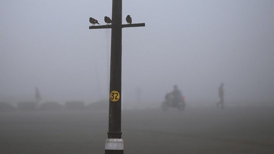 Birds seen perched on an electric pole on a cold smoggy morning in New Delhi, on December 20. “We are seeing a build-up of fog and smog because pollutants are also sticking to the cold, humid air. Though there is no major drop in temperatures, the smog layer is obscuring sunshine,” Mahesh Palawat, vice president, climate change and meteorology at Skymet Weather, told HT.(Manish Swarup / AP)