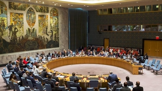 Days when Afghanistan was used by others as strategic depth over: India to UNSC Days when Afghanistan was used by others as strategic depth over: India to UNSC