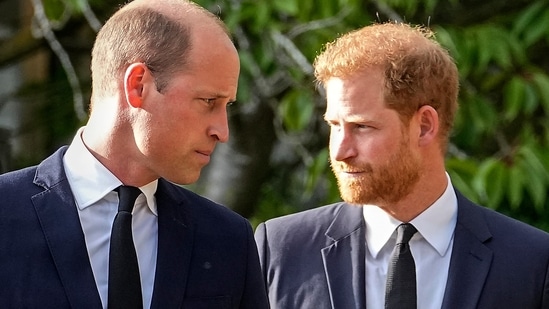 Prince Harry: Britain's Prince William and Britain's Prince Harry are seen. (AP)