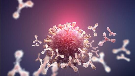 Virus protection. Antibodies and viral infection. Immune defense of the body. Attack on antigens 3D illustration (Siarhei - stock.adobe.com) Virus protection. Antibodies and viral infection. Immune defense of the body. Attack on antigens 3D illustration (Siarhei - stock.adobe.com)