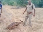Investigation is on to trace the owner of the land. (Image for representation) Investigation is on to trace the owner of the land. (Image for representation)