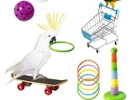 Best bird toys