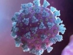 While India has its Covid cases in control, people are to a large extent vaccinated and there is some amount of immunity from previous infections, there is a need to stay aware of the common and unusual Covid symptoms (HT_PRINT) While India has its Covid cases in control, people are to a large extent vaccinated and there is some amount of immunity from previous infections, there is a need to stay aware of the common and unusual Covid symptoms (HT_PRINT)