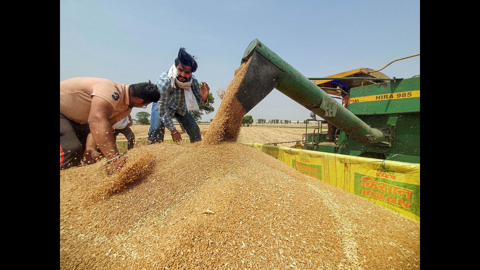 india-s-wheat-production-likely-to-touch-all-time-high-of-112-million