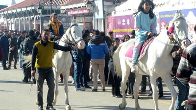 Children enjoy horseback rides on a sunny day on The Ridge in Shimla on Thursday. (Deepak Sansta/HT) Children enjoy horseback rides on a sunny day on The Ridge in Shimla on Thursday. (Deepak Sansta/HT)