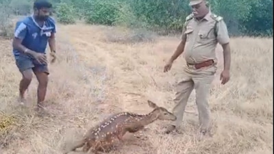 Investigation is on to trace the owner of the land. (Image for representation) (@supriyasahuias/Twitter)