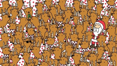 Brain Teaser: Can you spot Rudolph among reindeer in this picture? (Facebook/Gergely Dudás - Dudolf) Brain Teaser: Can you spot Rudolph among reindeer in this picture? (Facebook/Gergely Dudás - Dudolf)