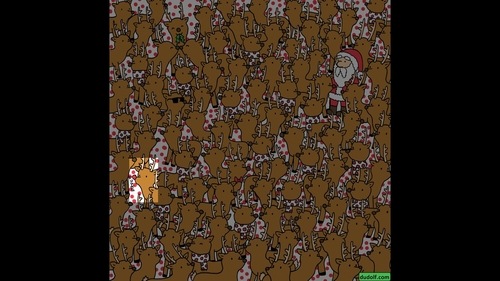 The image higlights Rudolph, the red-nosed reindeer. (Gergely Dudás - Dudolf) The image higlights Rudolph, the red-nosed reindeer. (Gergely Dudás - Dudolf)