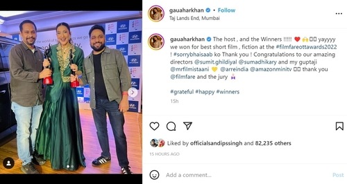 Gauahar Khan's film Sorry Bhaisaab won at Filmfare OTT Awards.