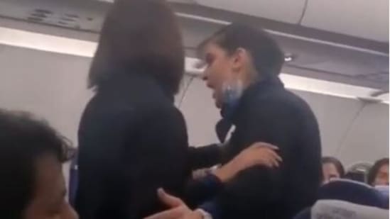 The video shows the heated argument between the air hostess and the passenger. (Screengrab/Video tweeted by Tarun Shukla)