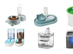 Cat feeding and water supplies can mean water dispensers, feeding bowls and feeders.