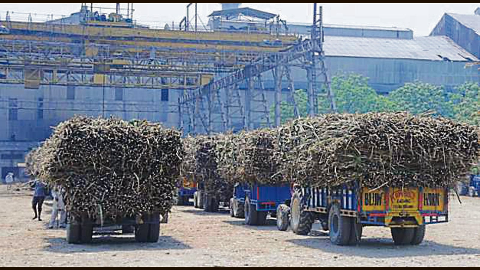 Yamunanagar mill gives ₹ 55 cr relief to cane growers Hindustan Times