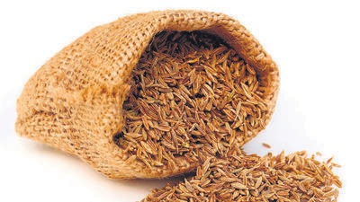 According to the Versova police, on December 5, Leaf Food Pvt Ltd in Malegaon, where the complainant, Nilesh Borse (32) works, received an order for 2,100 kg of cumin from a Mumbai-based customer, who identified himself as a certain Hiren Bhai. He placed the order through an app that connects suppliers and customers in the agricultural market, and the order was subsequently revised to 2,500 kg. (Shutterstock) According to the Versova police, on December 5, Leaf Food Pvt Ltd in Malegaon, where the complainant, Nilesh Borse (32) works, received an order for 2,100 kg of cumin from a Mumbai-based customer, who identified himself as a certain Hiren Bhai. He placed the order through an app that connects suppliers and customers in the agricultural market, and the order was subsequently revised to 2,500 kg. (Shutterstock)