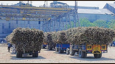 Yamunanagar mill gives  ₹ 55 cr relief to cane growers