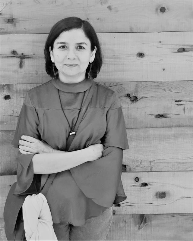 Reviewer’s pick: A Gujarat here a Gujarat There by Krishna Sobti; translated by Daisy Rockwell (Courtesy the reviewer) Reviewer’s pick: A Gujarat here a Gujarat There by Krishna Sobti; translated by Daisy Rockwell (Courtesy the reviewer)