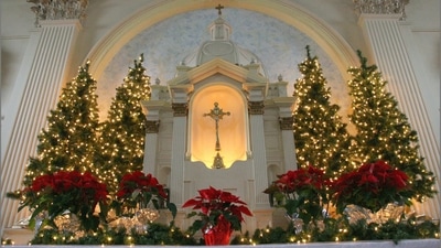 The Christmas season has arrived, bringing with it delicious delicacies, magnificent decorations, and chic clothes. This is the time of year to get on a plane and let Santa know where you're going. Churches in India take on a truly stunning appearance on the eve of this lovely holiday. Some churches in India are influenced by Portuguese and some by British culture. But one thing is constant—you will experience a sense of calm in each of these churches that you will cherish for a very long time. Therefore, here is a list of some spectacular churches in India. (pinterest) The Christmas season has arrived, bringing with it delicious delicacies, magnificent decorations, and chic clothes. This is the time of year to get on a plane and let Santa know where you're going. Churches in India take on a truly stunning appearance on the eve of this lovely holiday. Some churches in India are influenced by Portuguese and some by British culture. But one thing is constant—you will experience a sense of calm in each of these churches that you will cherish for a very long time. Therefore, here is a list of some spectacular churches in India. (pinterest)