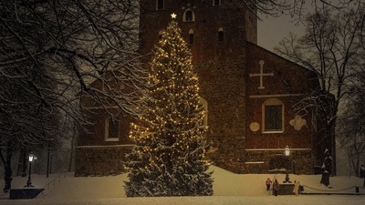 Christmas has many traditions, but probably none is more well-known than the tradition of magnificently adorned Christmas trees. (pixabay) Christmas has many traditions, but probably none is more well-known than the tradition of magnificently adorned Christmas trees. (pixabay)