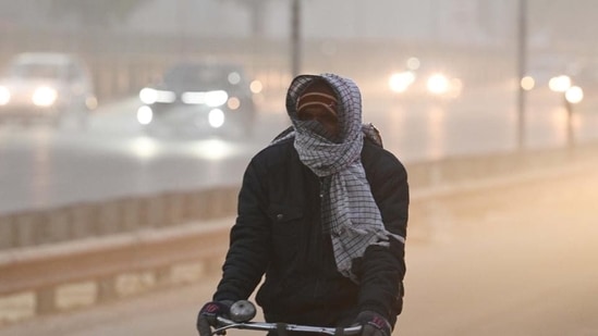 A cyclist braves the early morning chill and fog at NH 48 in New Delhi on Wednesday (HT Photo/Vipin Kumar)