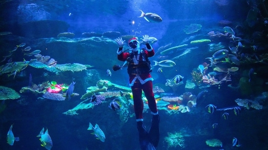 A diver wearing a Santa Claus costume is seen swimming with a school of fish to welcome the upcoming Christmas at the Sea Life Bangkok Ocean World aquarium in Bangkok, &nbsp;on December 24..&nbsp;(Athit Perawongmetha / Reuters)