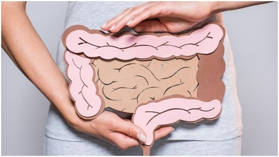 How receptors treat chronic gut pain: Research(Unsplash)