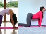 Malaika Arora’s yoga trainer shares tips to combat shoulder pain | Watch(Instagram/yoga.daily.inspirations) Malaika Arora’s yoga trainer shares tips to combat shoulder pain | Watch(Instagram/yoga.daily.inspirations)