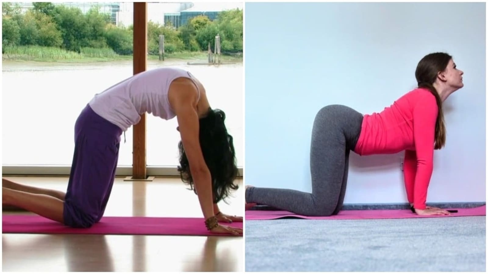 Ahead Of International Yoga Day, Malaika Arora Inspires Again With Cat-Cow  Yoga Pose On IG Reel