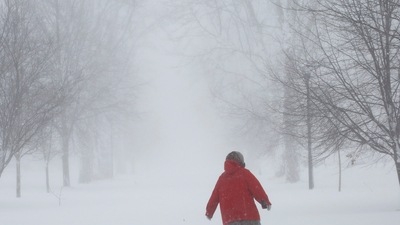 New York Winter Storm: A person walks on the street as a winter storm rolls through Western New York. (AP)