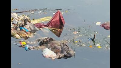 Garbage and sewage are dumped into the canal’s open waters from Hadapsar and Satavwadi. (HT PHOTO) Garbage and sewage are dumped into the canal’s open waters from Hadapsar and Satavwadi. (HT PHOTO)