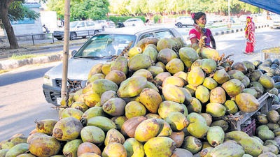 The MC is all set to fetch a revenue of over ₹1 crore yearly from these stalls. (Keshav singh/ht) The MC is all set to fetch a revenue of over ₹1 crore yearly from these stalls. (Keshav singh/ht)