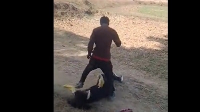 The man initially gets irritated and then proceeds to kick and slap her repeatedly in the face. The man initially gets irritated and then proceeds to kick and slap her repeatedly in the face.