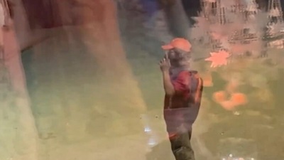 Zomato delivery agent dances to 'Sapne me milti hai' outside a wedding venue. (Instagram) Zomato delivery agent dances to 'Sapne me milti hai' outside a wedding venue. (Instagram)