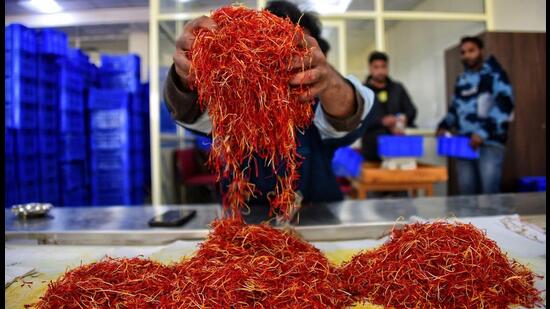 A veteran farmer from Pampore in south Kashmir’s Pulwama, who had been cultivating saffron for decades, has this time successfully grown high-quality spice in one of the rooms of his single-storey house. (Waseem Andrabi/HT) A veteran farmer from Pampore in south Kashmir’s Pulwama, who had been cultivating saffron for decades, has this time successfully grown high-quality spice in one of the rooms of his single-storey house. (Waseem Andrabi/HT)