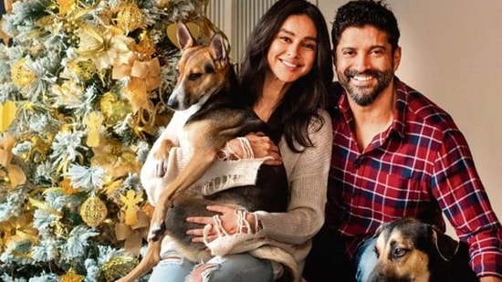 Farhan Akhtar and Shibani Dandekar: The couple wished their fans by sharing a postcard-worthy photo with their pet dogs. "Merry Xmas from mine to yours @faroutakhtar #JimmyAkhtar #TysonAkhtar," Shibani captioned the post.&nbsp;(Instagram/@shibanidandekarakhtar)