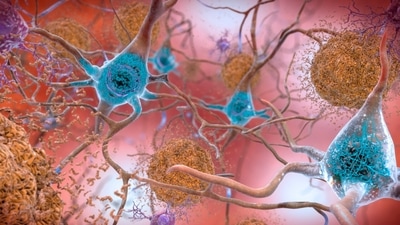 The research focussed on EP3 neurons in the preoptic area, which express EP3 receptors of PGE2, and investigated the function of regulating body temperature. (Representational Image) (AP) The research focussed on EP3 neurons in the preoptic area, which express EP3 receptors of PGE2, and investigated the function of regulating body temperature. (Representational Image) (AP)