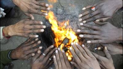 Cold wave sweeps Haryana, Hisar shivers at 1.2 degrees