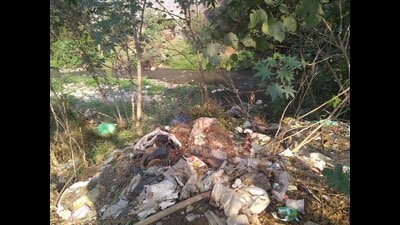 There have been consistent efforts from NGOs in the city to rejuvenate the river. (HT PHOTO)