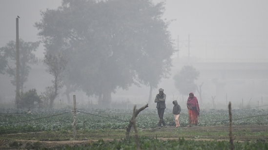 Palam recorded a minimum temperature of 6.5°C while Safdarjung recorded a minimum temperature of 5°C, India Meteorological Department said.&nbsp;(ANI)